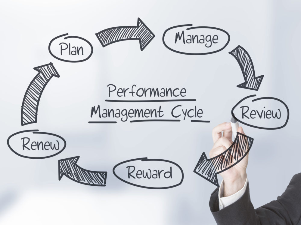 Performance management cycle