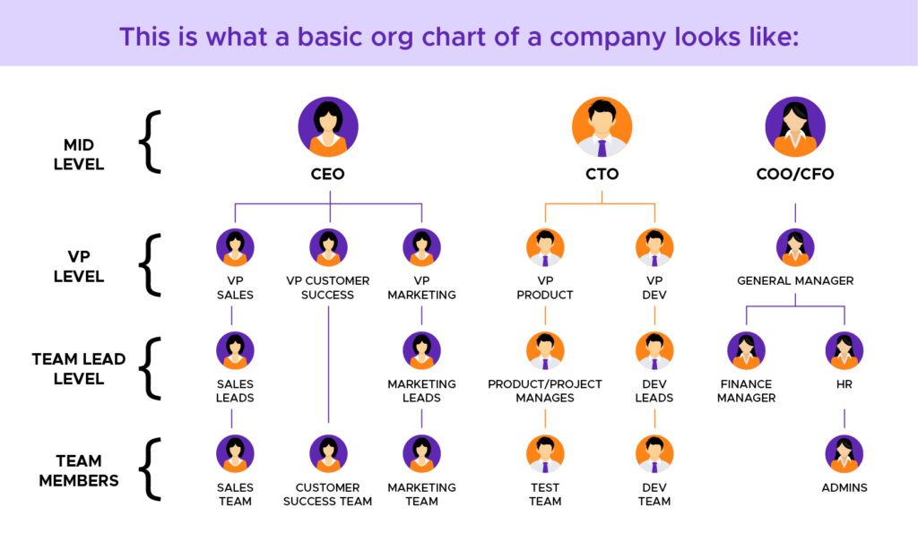 Company Org Chart Example
